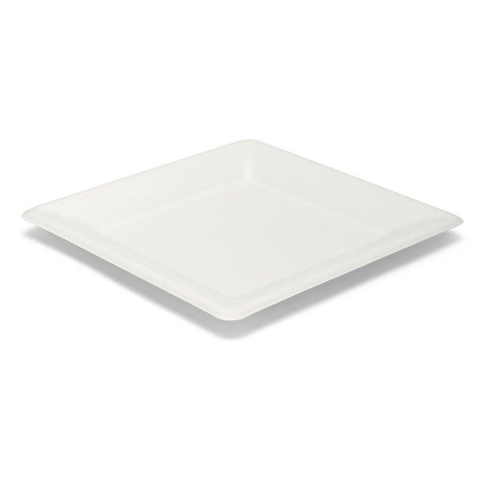 Piatti quadrati 262x262 mm polpa di cellulosa