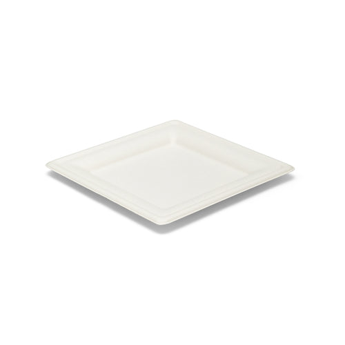 Piatti quadrati 200x200 mm polpa di cellulosa