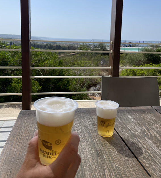 Bicchieri in PLA stampa fronte e retro